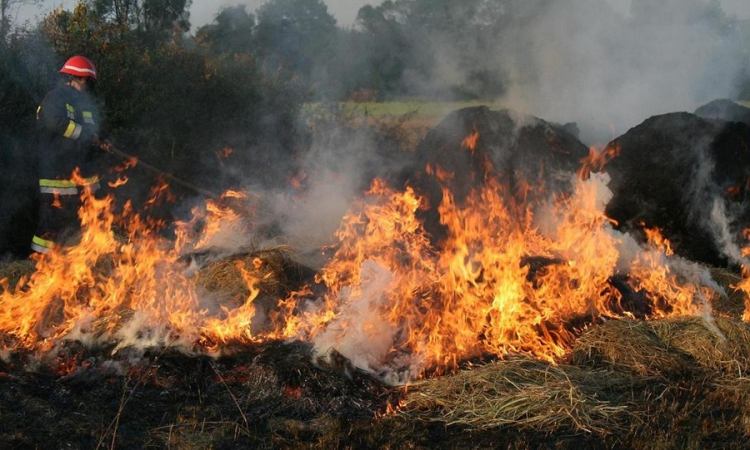 Proljećno uređenje već izazvalo požare