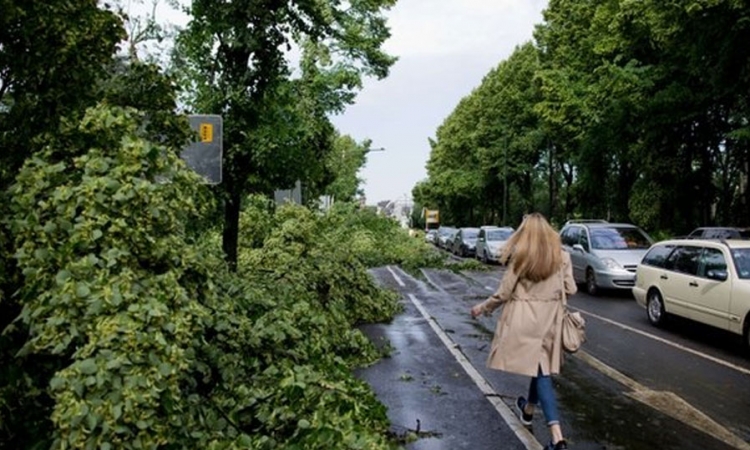 Oluja u Njemačkoj prekinula željezničke linije
