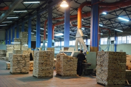 Trupce izvozimo, dok pilane vape za njima