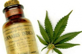 Predavanje o opravdanosti legalizacije kanabisa u medicinske svrhe