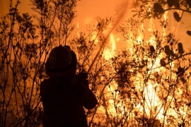 Šest osoba poginulo, a 121 povrijeđena u požarima u Sibiru