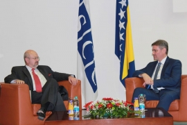 Zvizdić: BiH mlada demokratija   