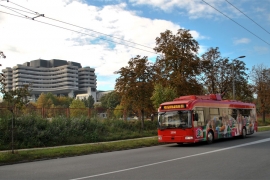 Uoči porođaja ostala bez posla