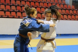 Samardžićeva druga