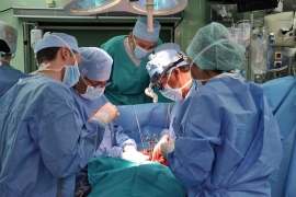 Novosađanki zamijenjena grudna i trbušna aorta