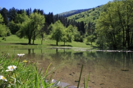 Sunčano i toplo