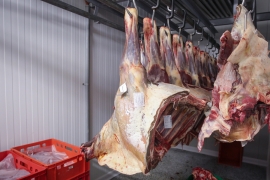 Ljekovite osobine konjskog mesa važnije od cijene