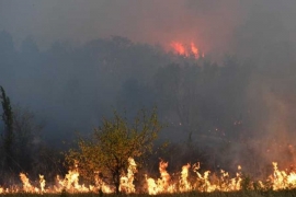 Penzioner se ugušio paleći korov