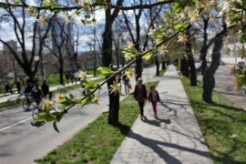 Danas sunčano, krajem dana kiša u BiH