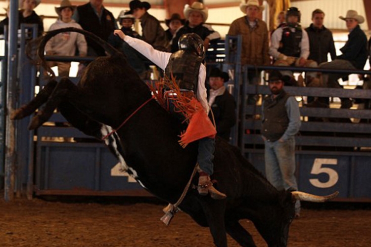 Sedmogodišnji kauboji u rodeo areni