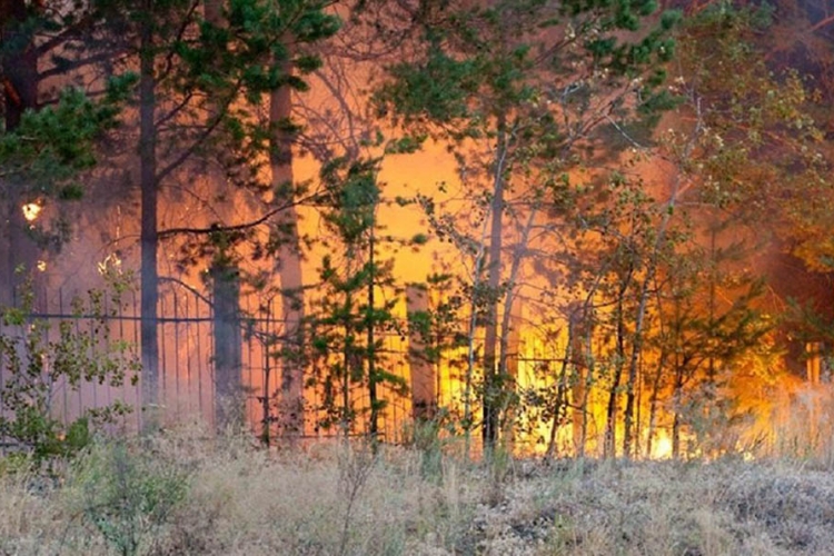 U požarima u Sibiru petoro poginulih, gori više od 900 zgrada
