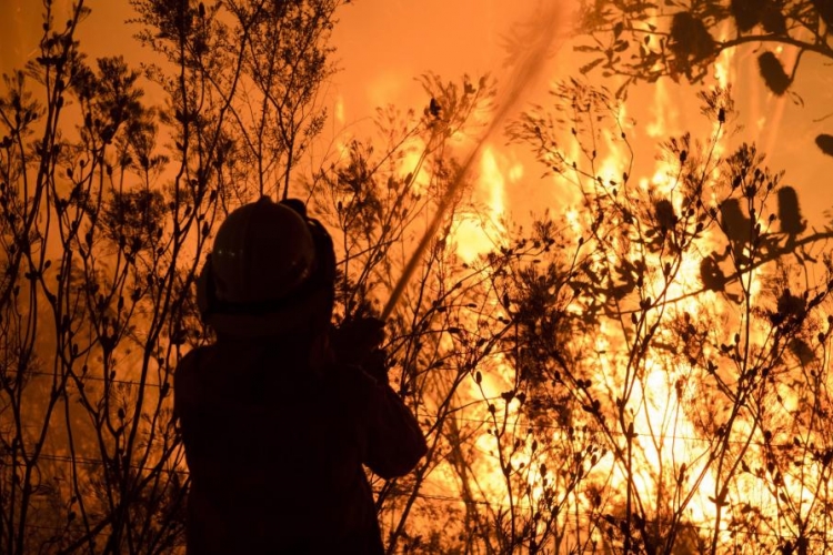Šest osoba poginulo, a 121 povrijeđena u požarima u Sibiru