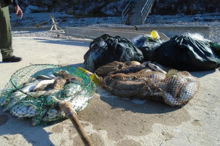 Zaplijenjeno 80 kilograma ribe i ribarska oprema