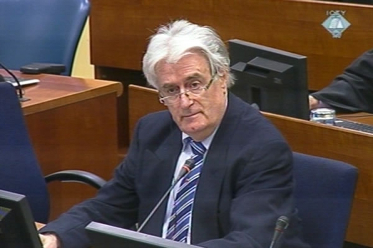 Karadžić traži statusnu konferenciju