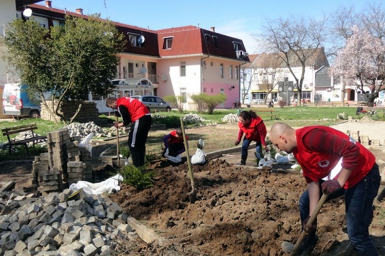 Počelo ozelenjavanje Šamca