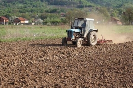 Težaci na njivama, bezemljaši na izletištima