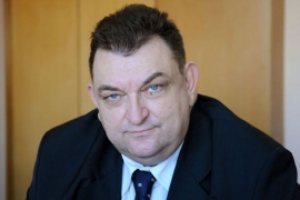 Pedijatar Lolić: Led pomaže kod uboda insekata