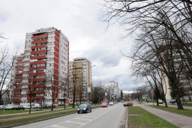 Najezda mrava u Banjaluci