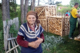 Drva za pet ugroženih starica