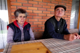 Grom usmrtio 16 ovaca