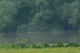 Vodostaji padaju, Sava 3,5 metra ispod kote odbrane od poplava