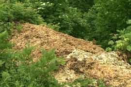 Ekološka katastrofa na pomolu: Životinjski otpad istovarili pored puta