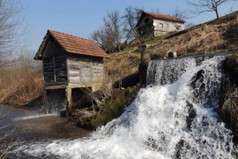 Podgrmečke vodenice - blago željno obnove