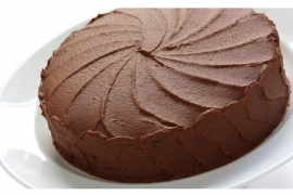 Brza plazma torta