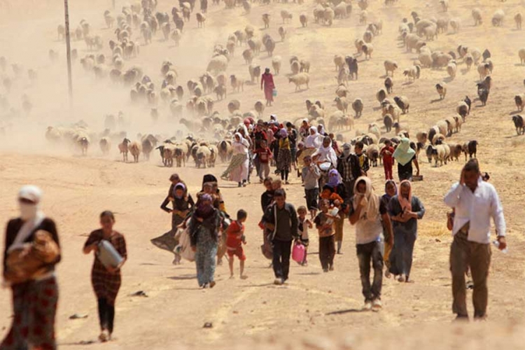 Irak: Islamisti ubili stotine Јezida