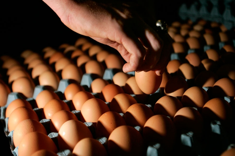 Vitamin D podstiče mršavljenje