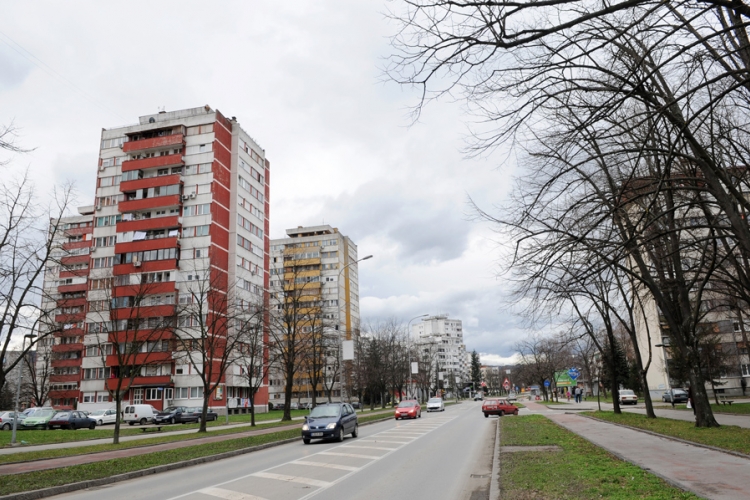 Najezda mrava u Banjaluci