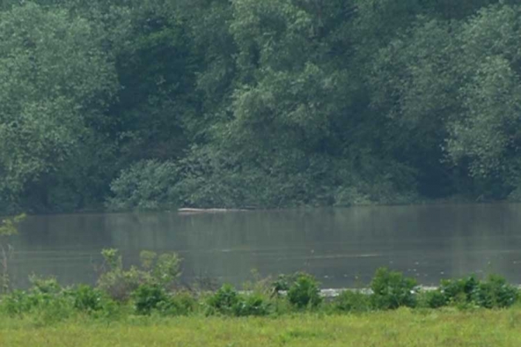 Vodostaji padaju, Sava 3,5 metra ispod kote odbrane od poplava