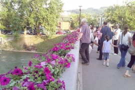 Cvijeće sa mosta neko uništava