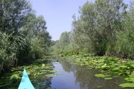 Prijeti nestanak "Hutovog blata"