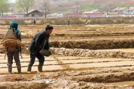 Najveća suša u posljednjih 100 godina pogodila Sjevernu Koreju
