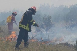 Za sedmicu 20 intervencija