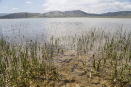Blidinjsko jezero zablistalo u punom sjaju