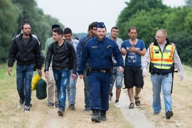 Mađarska: Privedeno 1.200 migranata za 24 časa