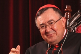 Puljić: Papa Franjo jasno rekao da "vidioci" ne prave medijski cirkus ...