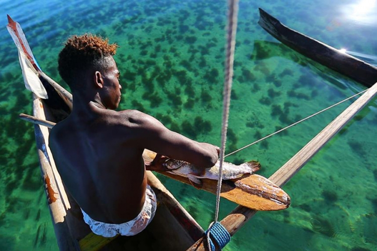Film s Madagaskara najbolji na "Viva" festivalu