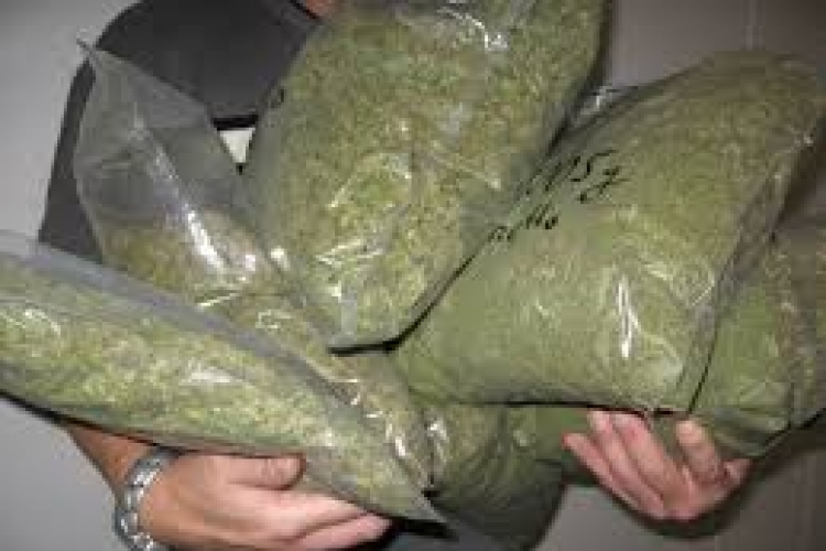 U pretresu porodične kuće pronađena marihuana