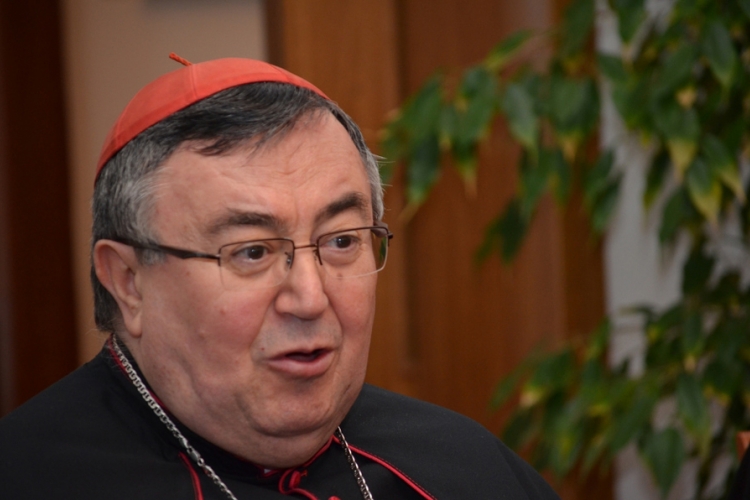 Kardinal Puljić: Otvorimo svoja srca papinim porukama