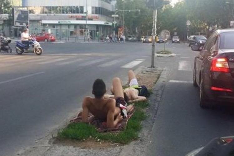 Sunčanje na ostrvu: Novosađani se izležavaju na sred ulice
