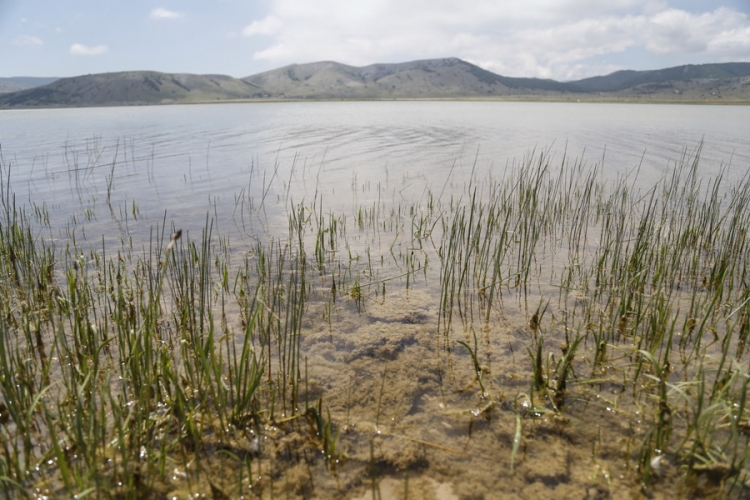 Blidinjsko jezero zablistalo u punom sjaju