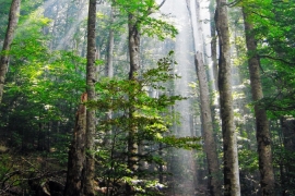 Izvršena primopredaja dužnosti u ŠG "Zelengora"