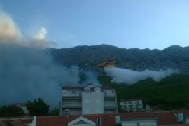 Gori borova šuma, vatra se približila kućama