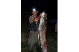 Ulovio soma teškog 30 kilograma