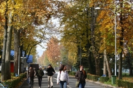 Relicenciranje studijskih programa biće obavezno