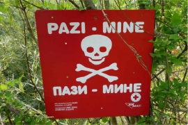Pastir poginuo kada je nagazio na minu