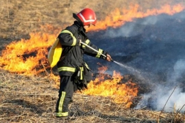 Bileća: Vatra "guta" desetine hektara rastinja i šume